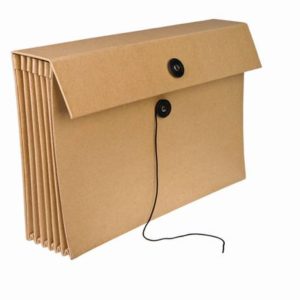 הרמוניקה קרטון ממוחזר