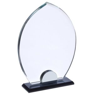 מגן זכוכית בסיס שחור