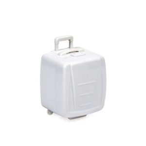 מתאם אוניברסלי מזוודה