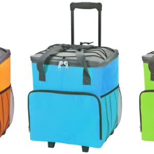 צידנית 40 ליטר