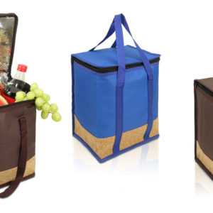 צידנית שילוב שעם