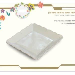 צלחת הגשה לפסח